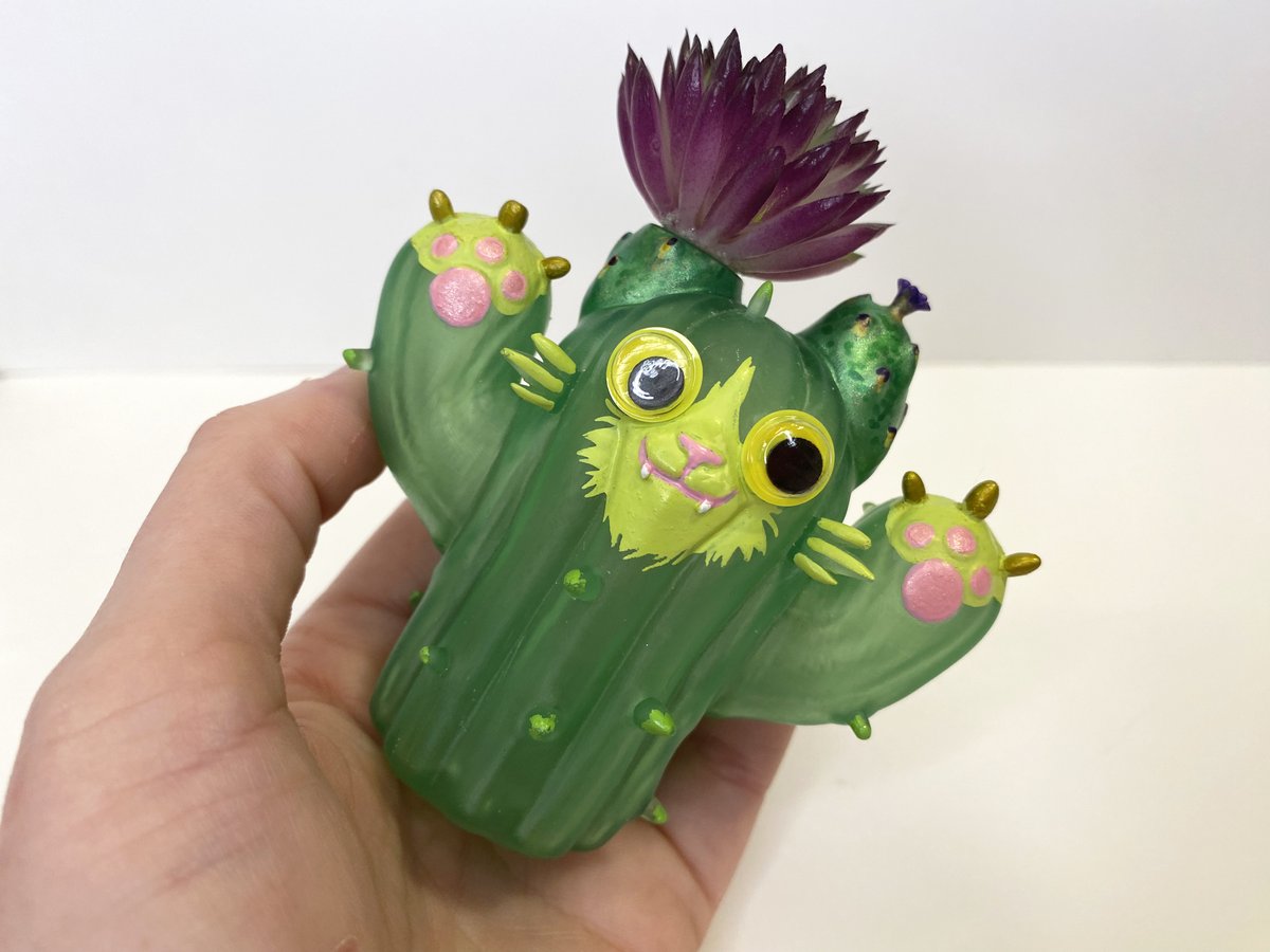 RocketCatRescue's tweet photo. Aaannnddddd.... The large cactus cats have been listed now!!!! https://t.co/fj1WqSFudj