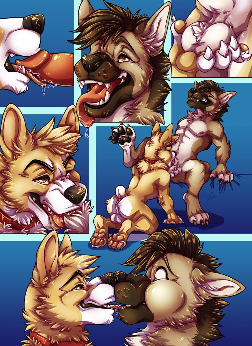 CigarPup's tweet photo. Couple of canines having some slobbery fun! This was  a finished YCH for  @duke_corgi and @arcshep . 

This is the saliva version. The snowball version was posted here by Duke a while ago. https://t.co/HimMSqnUrv