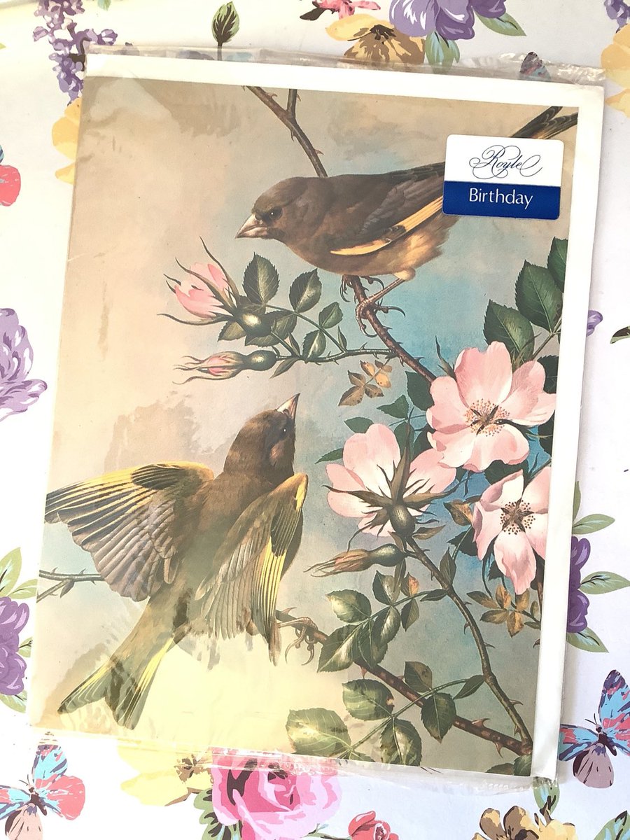 WatsonsVintage's tweet photo. I only have ONE of these TRULY BEAUTIFUL #BasilEde Design #BirthdayCards available in my #etsy shop: Extremely RARE #Vintage Circa #1970s Birthday Card with a STUNNING 'Greenfinchl' Design From a Painting By Basil Ede #ACardToFrame https://t.co/FdIHkGgZEU
#GreenfinchDesign https://t.co/qSOnlDRNvG