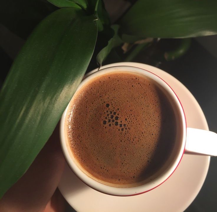 مافات خله و لاتهتم من باكر 
واغنم من اليوم ما ساقت توافقيه 
 #صباح_الخير_والسعاده_للجميع