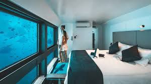 29_go's tweet photo. Lets make this reality on Maldivies where are my investors underwater  bunglows . Investments of 25MU.S.D. get this project started in Maldivies. https://t.co/rr0oaD6wD0