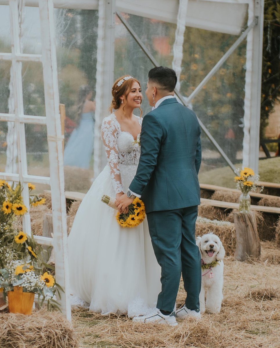 sebasmorenooo's tweet photo. Yo aún veo las fotos de mi matrimonio y lloro de la felicidad 🥹 https://t.co/xtzkMCr9QY