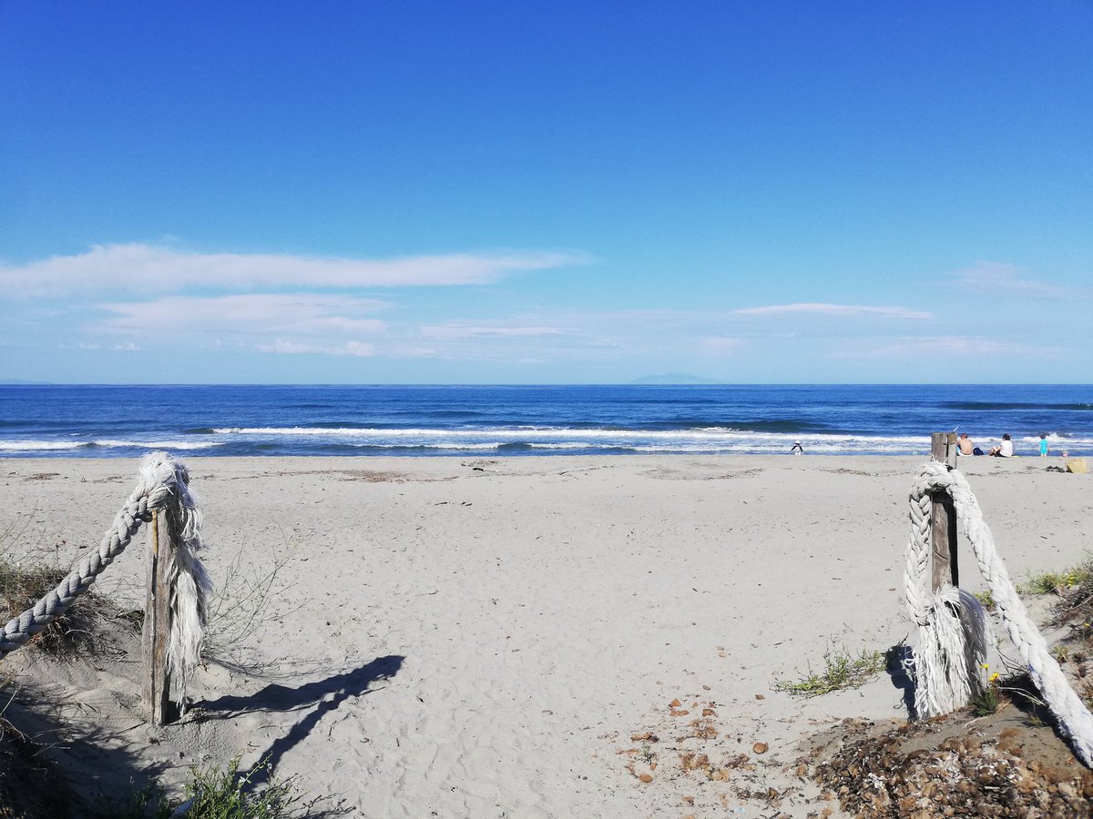 Sandrine Chauney tweet media