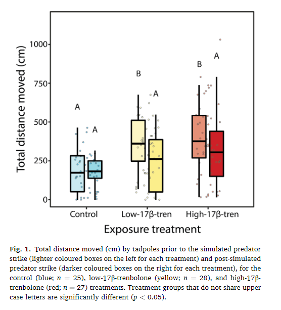 @jackTOrford et al found exposure to environmentally realistic concentrations of the agricultural pollutant 17β-trenbolone altered morphology and behaviour in southern brown tree frog tadpoles. <a href="/BBM_Wong/">Bob Wong (@bbmwong.bsky.social)</a> <a href="/lesley_alton/">Lesley Alton</a> <a href="/HungTan_/">Hung Tan</a> <a href="/r_tingley/">Reid Tingley</a> @MArtin_J_M_34 sciencedirect.com/science/articl…