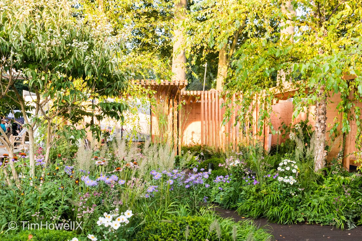 TimHowellX's tweet photo. #CountdownToChelsea #RHSChelsea 1 day to go-I won’t see a garden designed by @rmalandscape at the show,but there is one nearby. Relocated after the '21 show “The Florence Nightingale Garden:A Celebration of Modern-Day Nursing” is now in the grounds of St Thomas’s Hospital, London https://t.co/4C4C6sBJWu