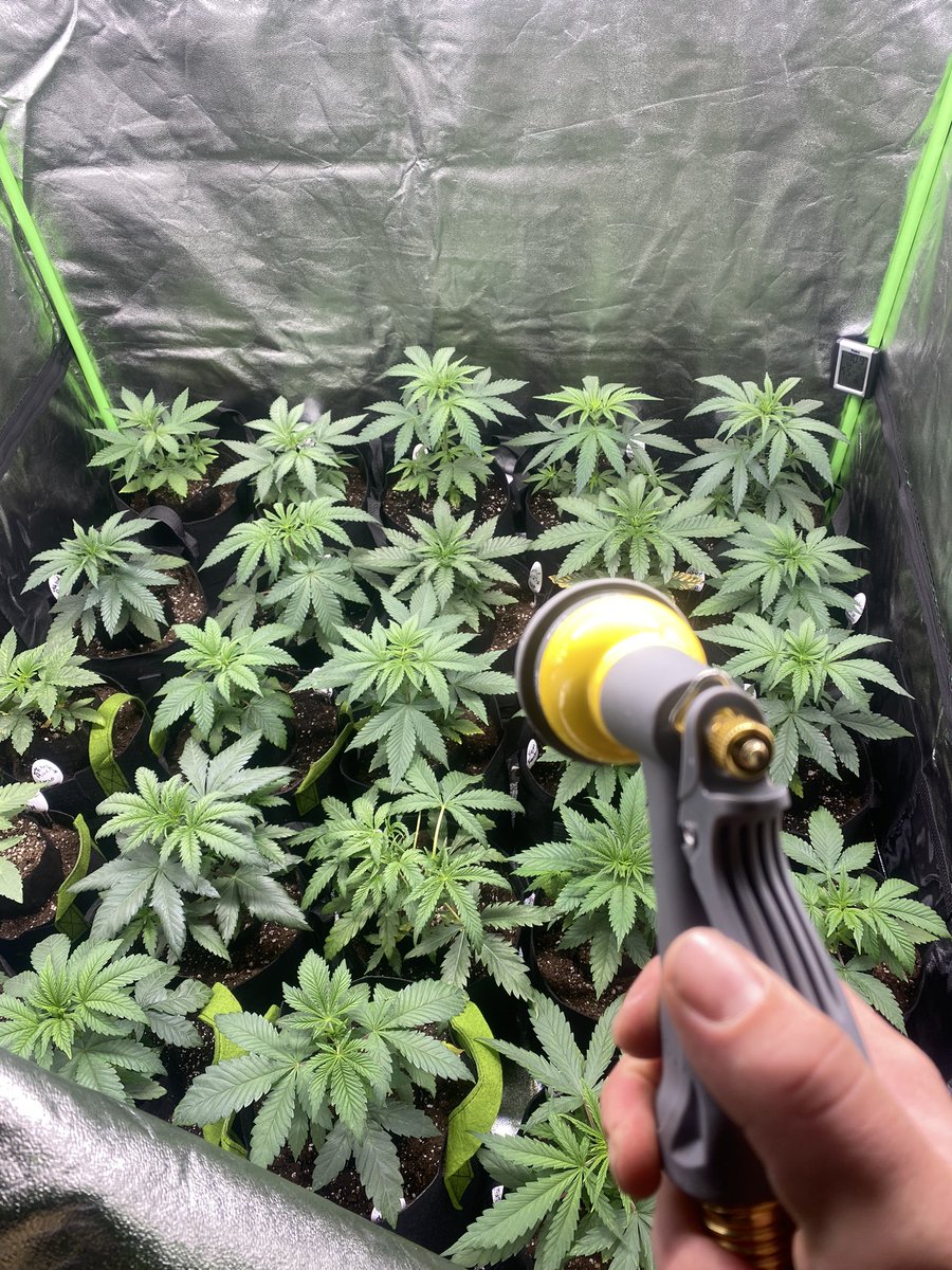 ALocGrows's tweet photo. Stick em up gals. I’m sick of making trips with jugs 🔫🔫 https://t.co/dsxxps181y