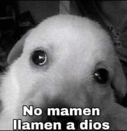 Samkde1Samkde's tweet photo. Mal momento para ser de pueblayork, déjame lavar don Goyo https://t.co/SyDN3gvhEn
