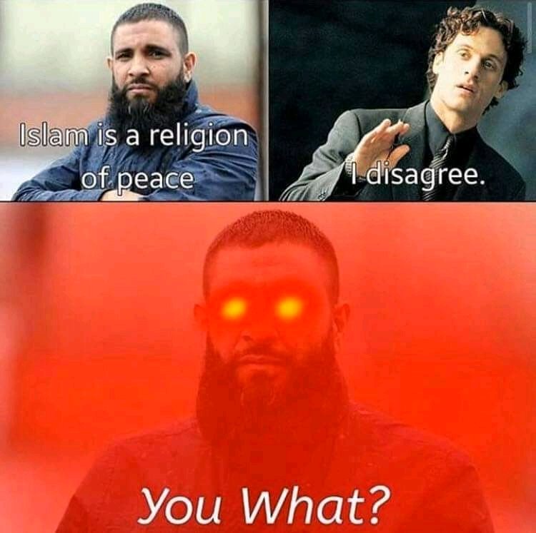 thelustprophet's tweet image. 