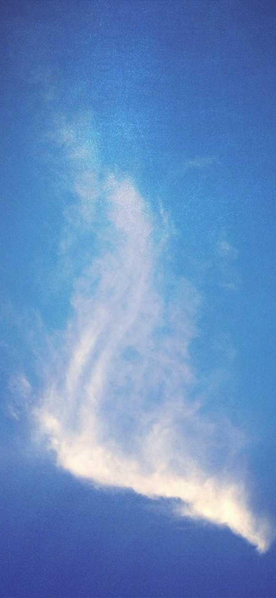 wallpapersfield's tweet photo. #خلفيات #جوال #wallpapers #4k #صور  #تصميم https://t.co/iQ8P1BExzh