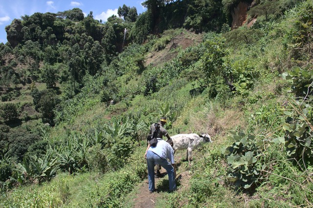 UgandaSafa81912's tweet image. ▲From Kampala you can organize day trips in every region ☻ ugandasafariadventure.com/day-trips/?9okm◄ 
#GoWithNugget #destination #CityView #vacationpackages #TravelIsLife