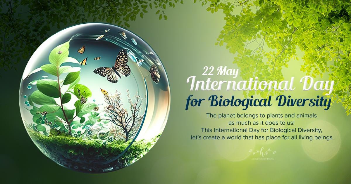 insan_honey's tweet photo. Today, on #InternationalDayforBiologicalDiversity, let's unite to protect our planet's remarkable biodiversity! From agreements to action, let's work together to #BuildBackBiodiversity. The loss of biodiversity and climate change are interconnected, so let's prioritize conservation efforts to safeguard our ecosystems and create a sustainable future for all.