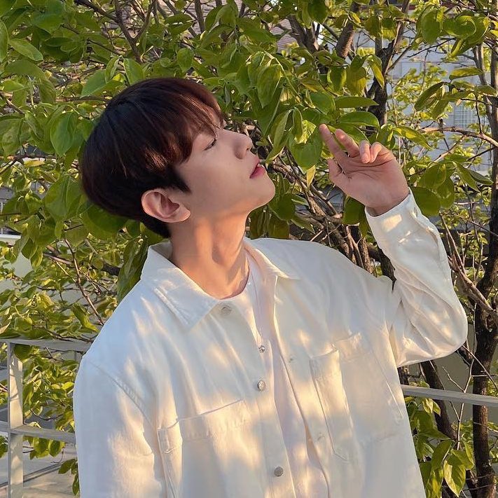 fluffyboobi's tweet photo. น้องแบคเชิ้ตขาวมันแบ่บนุ่มๆฟูๆลูกคุณหนูที่สุด😭🤲🏻🍼 https://t.co/s0vthUqvQo