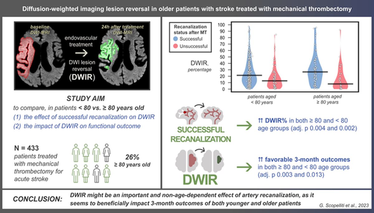 Giuseppe Scopelliti (@skopelliti) on Twitter photo Very happy to share our new study, out now on <a href="/StrokeAHA_ASA/">Stroke AHA/ASA</a>
DWI lesion reversal is definitely a thing! It is a sign of successful MT and predicts good functional outcomes, no matter the age! <a href="/marco_pasi85/">Marco Pasi</a> <a href="/PrCCordonnier/">Charlotte Cordonnier</a> <a href="/Lau_Puy/">Laurent Puy</a> <a href="/BretznerM/">Martin Bretzner</a> <a href="/gboulouis/">Gregoire Boulouis</a> Very happy to share our new study, out now on <a href="/StrokeAHA_ASA/">Stroke AHA/ASA</a>
DWI lesion reversal is definitely a thing! It is a sign of successful MT and predicts good functional outcomes, no matter the age! <a href="/marco_pasi85/">Marco Pasi</a> <a href="/PrCCordonnier/">Charlotte Cordonnier</a> <a href="/Lau_Puy/">Laurent Puy</a> <a href="/BretznerM/">Martin Bretzner</a> <a href="/gboulouis/">Gregoire Boulouis</a>