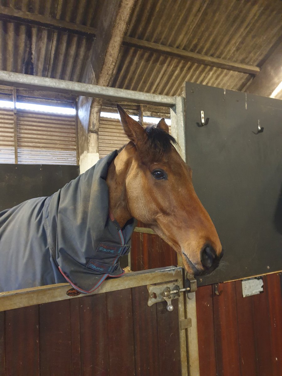 Good luck to Hogan later today.
Having his first run over fences at Market Rasen.
All fellow Cotswold Lockdowners going to shout him home, enjoy the evening 🤞