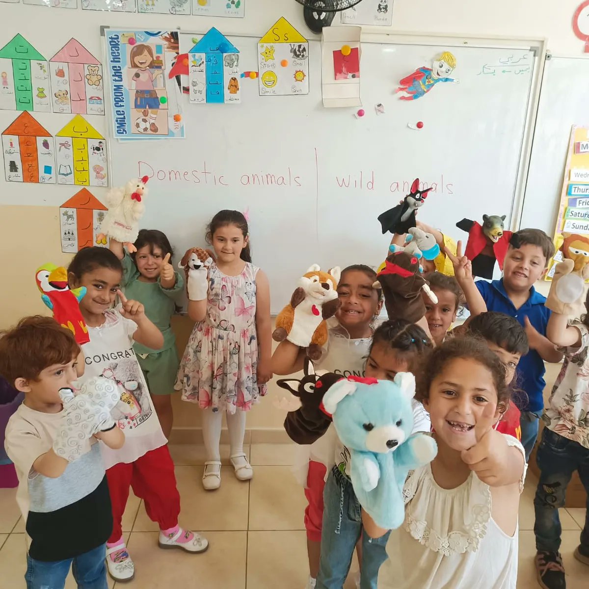 Fratelli Project tweet media