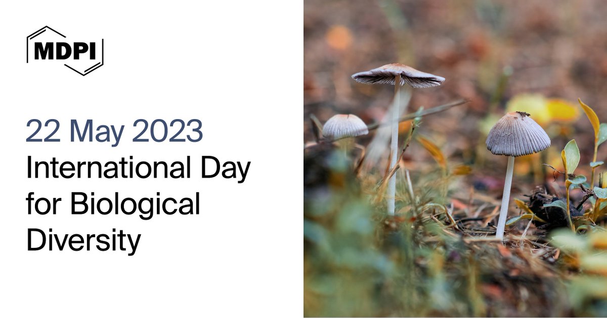✨Today, let's celebrate International Day for Biological Diversity The aim is to raise awareness and understanding of biodiversity issues We hope that some of #MDPI journals provide suitable communication platforms on it mdpi.com/about/announce… #BiodiversityDay #insects