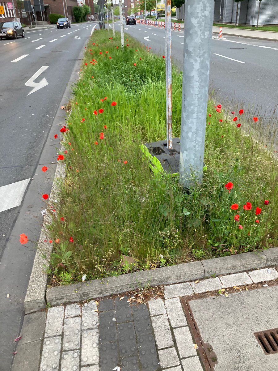 grensgang's tweet photo. Puh, da bin ich aber froh, dass dieses Chaos endlich beseitigt wurde... https://t.co/uDHXKtqOKS