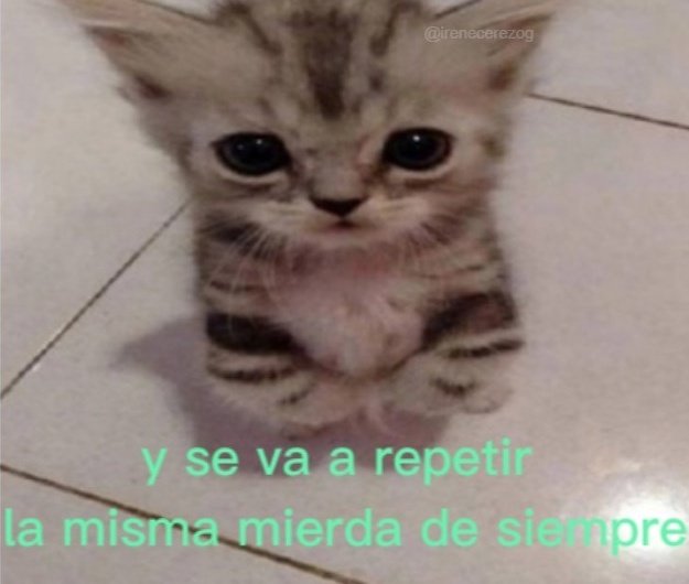 hoy es lunes