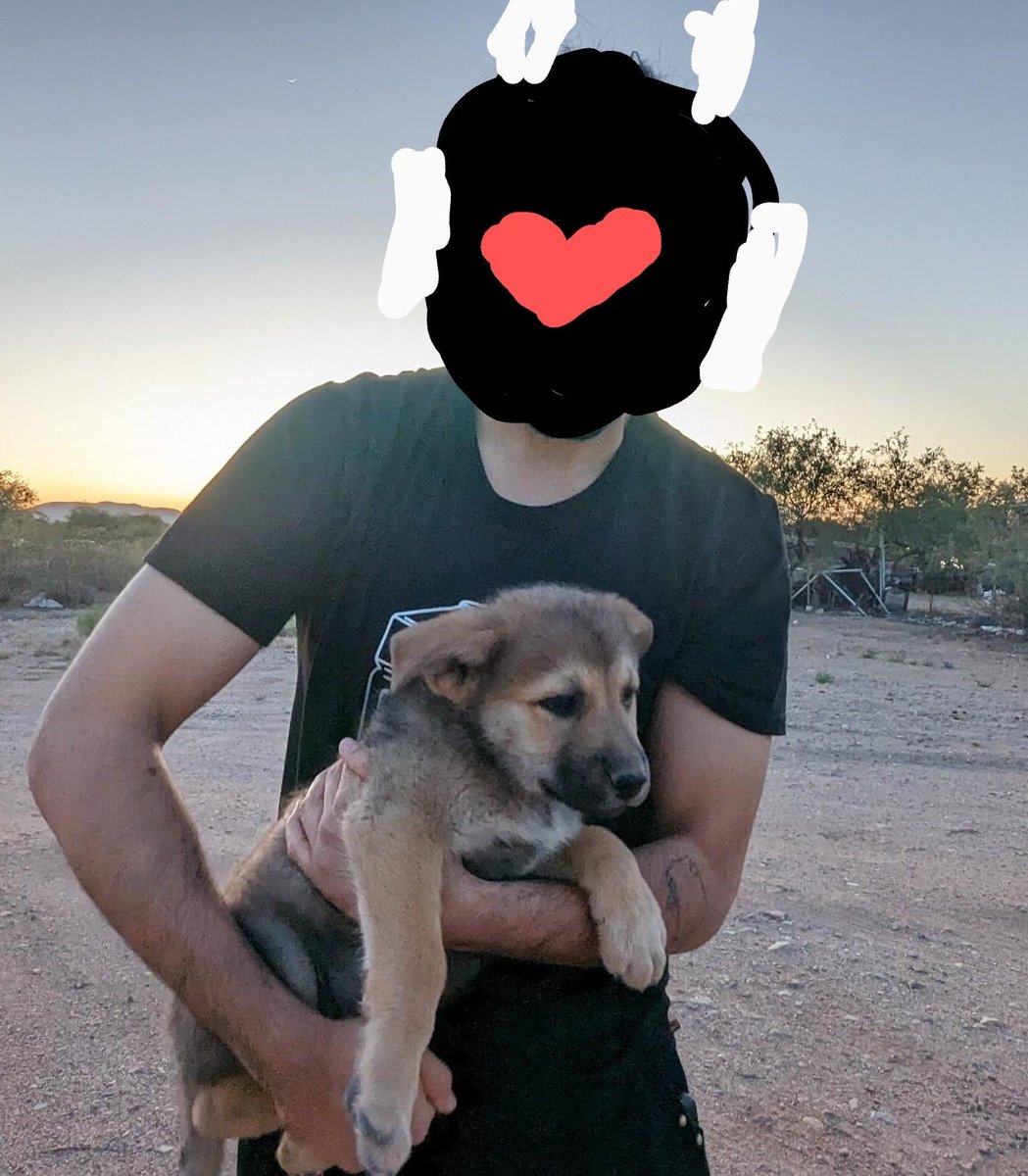 NULLxFUSION's tweet photo. puppy? https://t.co/cMDEIExAC8