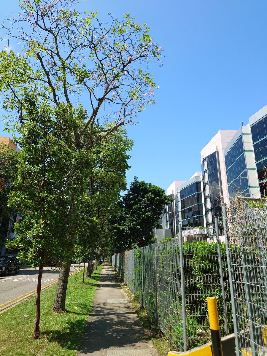 bdrc1989's tweet photo. Hot days
.
.
.
Sony Xperia 5III
.
.
.
#カメラ好きな人と繋がりたい #写真好きな人と繋がりたい #写真撮ってる人と繋がりたい #ファインダー越しの私の世界 #写真で伝えたい私の世界 #東京カメラ部 #摄影 #風景 #asdgraphy #aesth.r
#singapore #mobile #handphone #xperia https://t.co/i5sJY83jmc