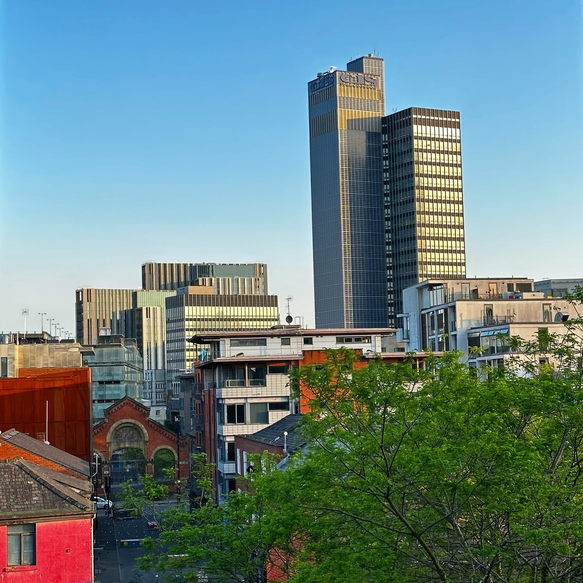 Pasta Paul tweet media