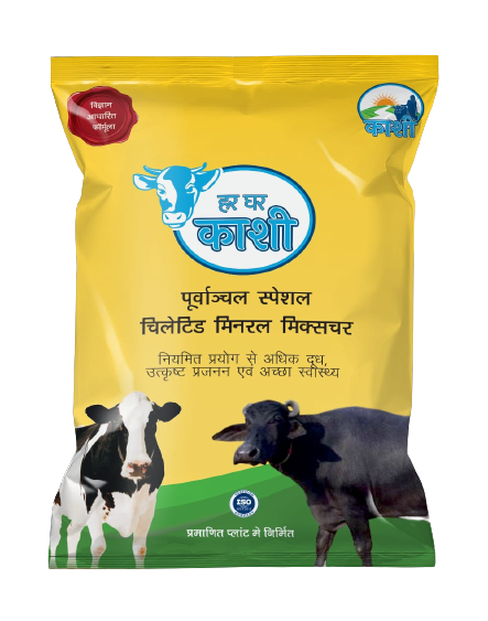 KasheeMilk's tweet photo. Scientifically Formulated for Poorvanchal Uttar Pradesh
#Kashee #Dairy https://t.co/pB9R1iHapk