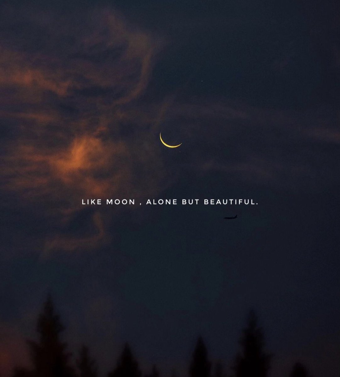 Post by Words on X: 🌙✨