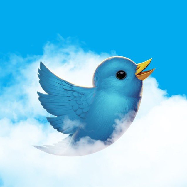 limmmsprout's tweet photo. @DaveCryptosNews $LARRY for sure. It’s our national bird 🐦💙 https://t.co/VluBG82FKV