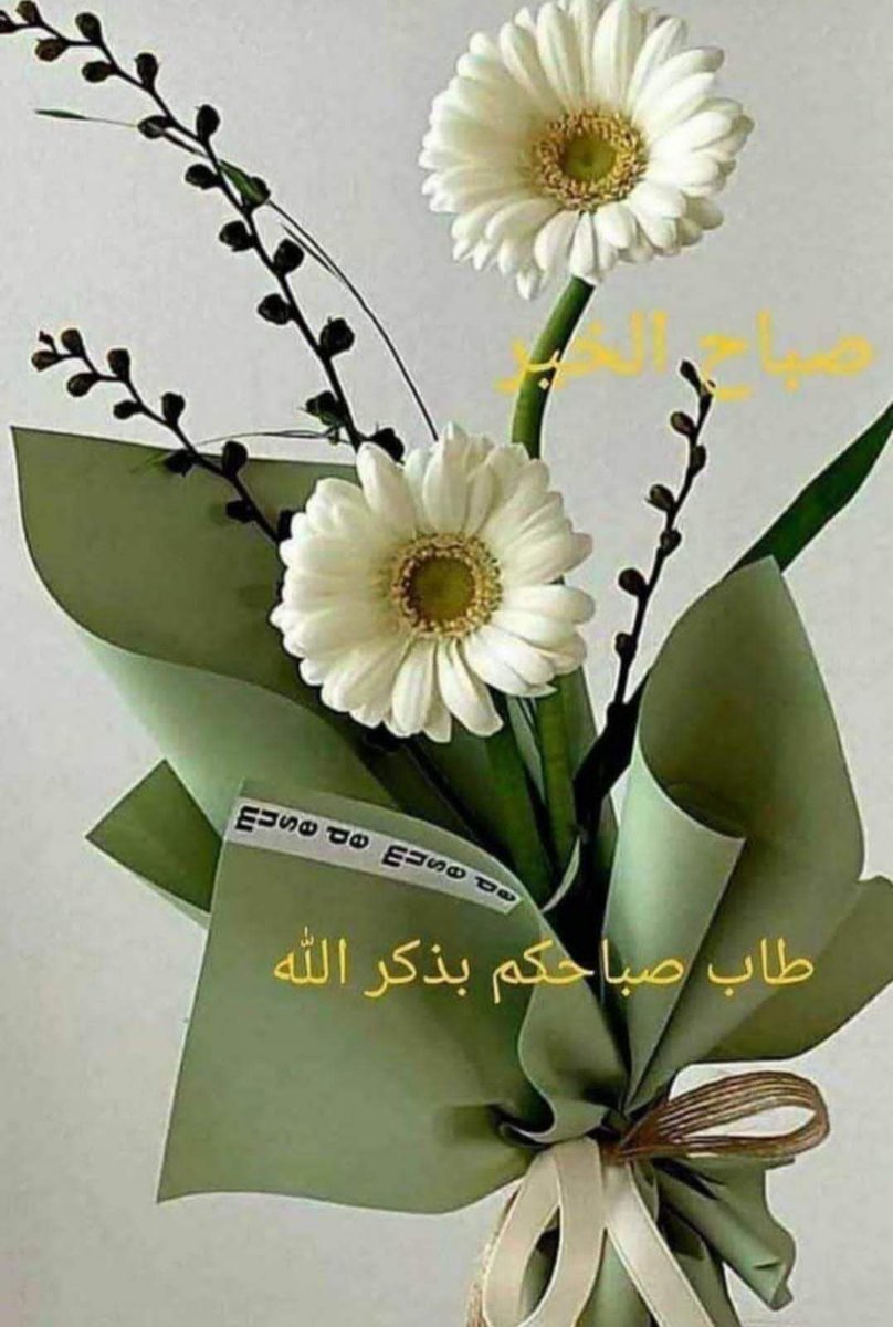 Sayed Aref (@sayedaref51) on Twitter photo 