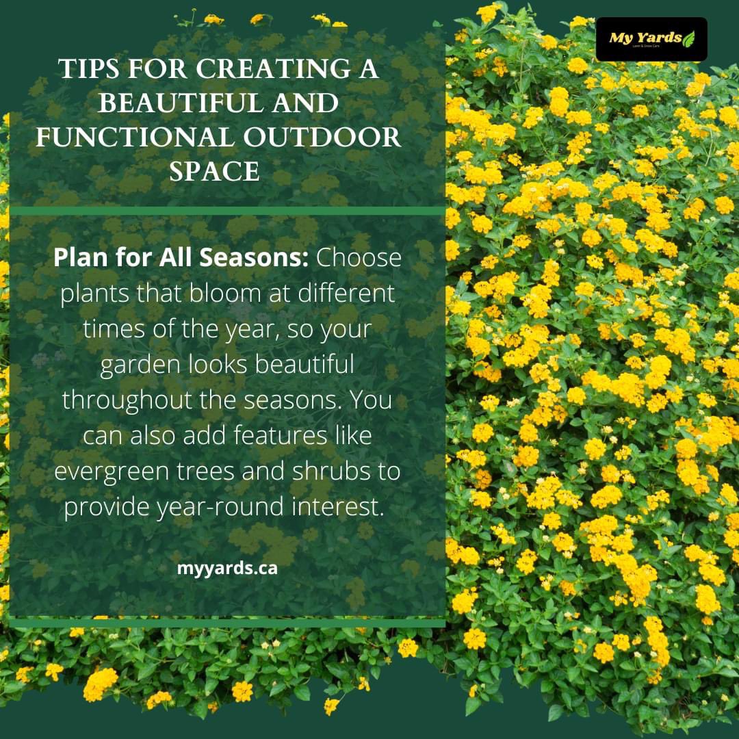 Garden Design 101: Tips for Creating a Beautiful and Functional Outdoor Space
#yeg #yeglocal #yegbusiness #edmonton
#MyYard #myyards #lawncare #lawnmaintenance #lawnmowing #lawncareservice #myardsservices #lawn #lawnservice #lawncarelife #lawns #lawngoals #lawncareservice