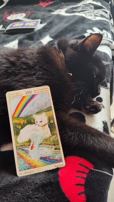 22 травня ваша #картадня у #таро це поміркованість! А це означає, що день буде легким, наступає оновлення<a href="/tag/%D0%BA%D0%B0%D1%80%D1%82%D0%B0%D0%B4%D0%BD%D1%8F"class="tags">#картадня</a><a href="/tag/%D1%82%D0%B0%D1%80%D0%BE"class="tags">#таро</a>