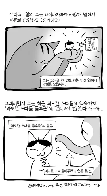 우리집 고양이와 과도한 쓰다듬 증후군 #뚝뚝만화데일리