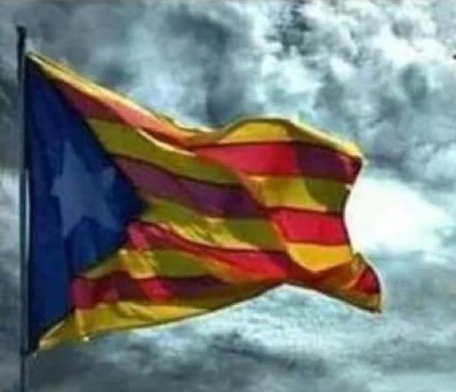 RT @PutaEspanyaRT: RT @PutaEspanyaRT: RT @MagMagic64: Bon dia catalans i catalanes que estimeu la vostra terra.
Dia de pluges i tempestes.
AIGÜES BEN REBUDES.
Visca Catalunya lliure i sobirana i sempre més Puta Espanya #Dui #lliridemerda #1Oct #lopoble #…