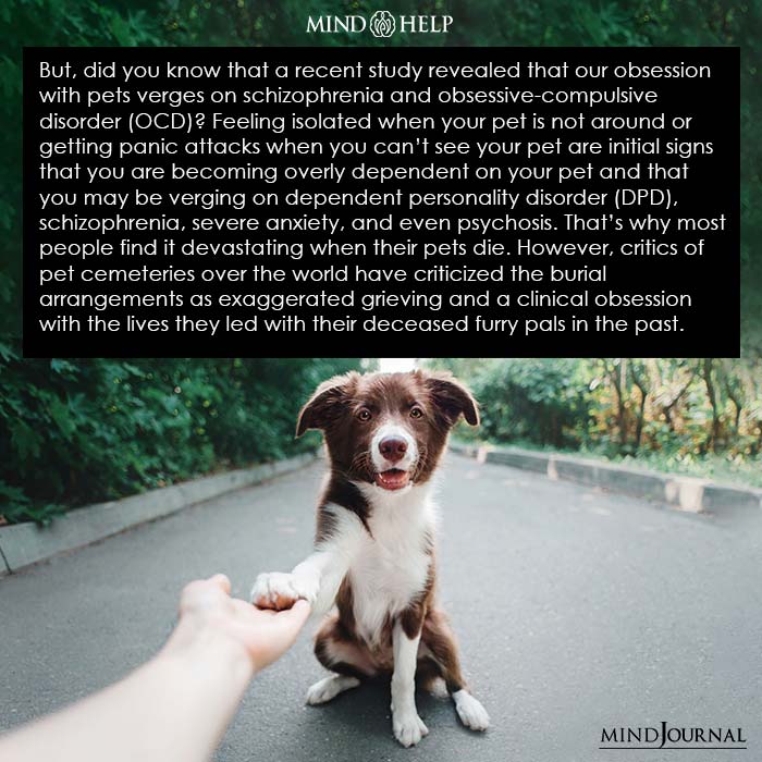 MindStarHelp's tweet photo. How Clinically Serious Can Our Obsession With Pets Become?
Sources:
https://t.co/gqXUNT0VSf
#petobsession #obsession #ocd #obsessivecompulsivedisorder #dpd #petlovers #ptsd #panicattacks #anxiety #catnip #mentalhealthsupport #mindhelp https://t.co/5MOmF6vXqF