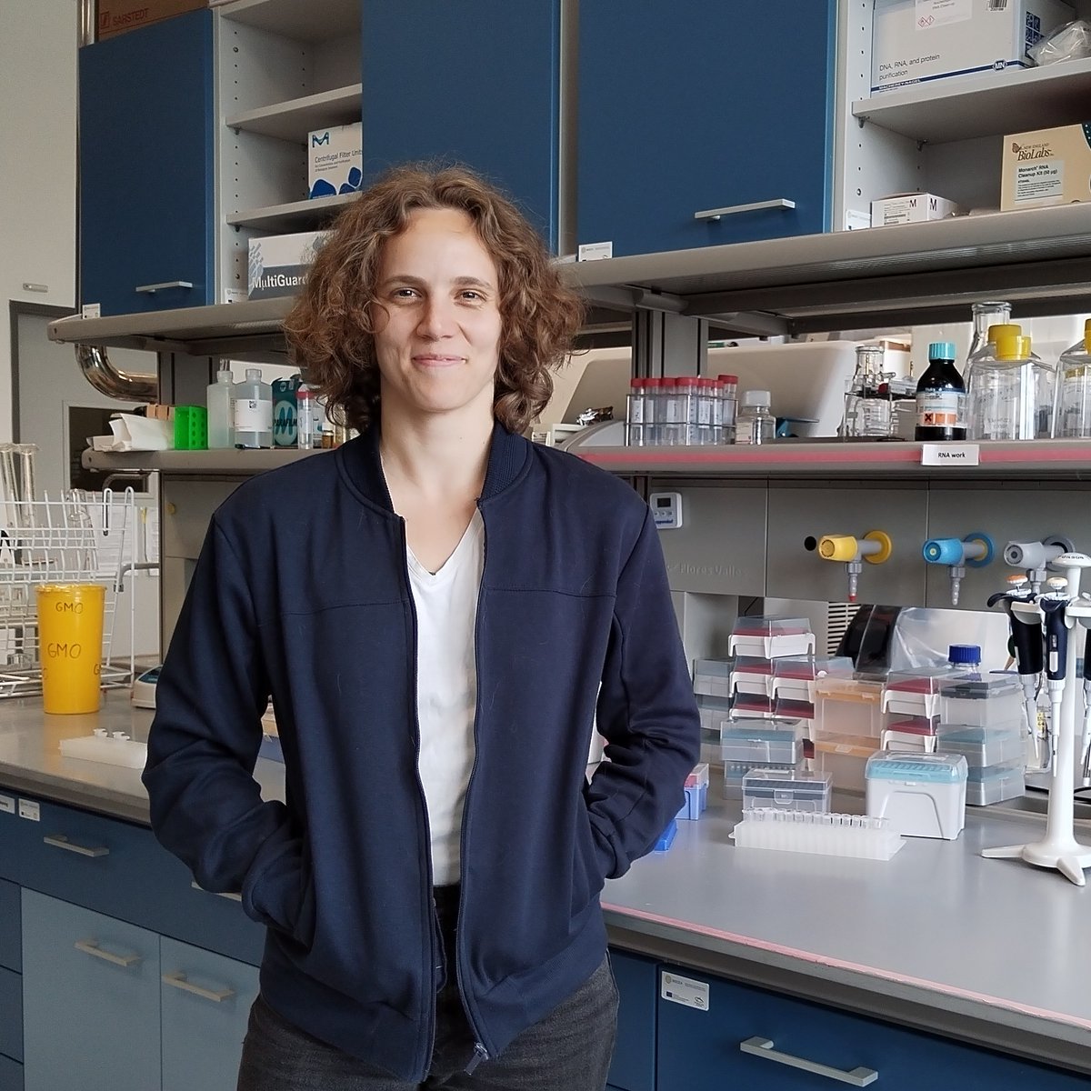 Society for Molecular Biology and Evolution tweet media