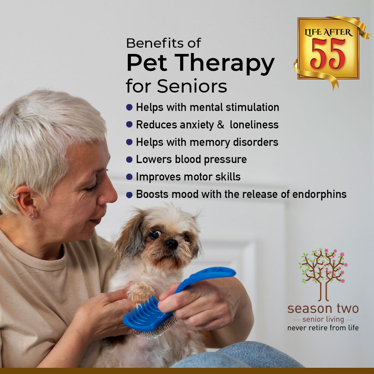 🐾 Embracing the Pawsitive Power of Pet Therapy! 🌟