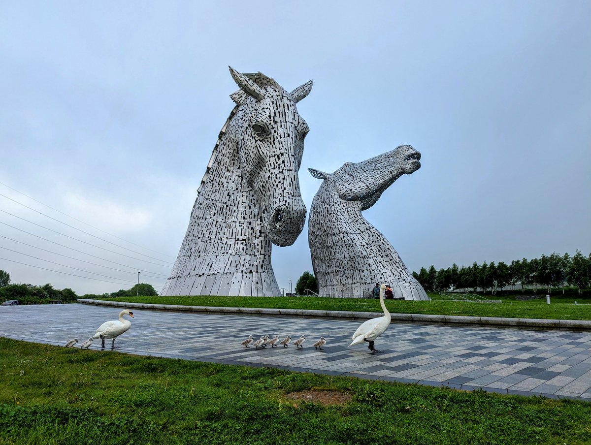 Words out that @HelixFalkirk is a great family day out!
It's handy that kids go free on #TheKelpies tour! 😂
#DaysOutWithTheKids
@SwanwatchUk @Natures_Voice @innerforth