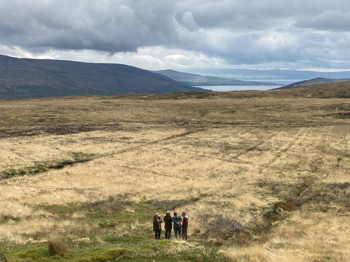 ACTinArgyll's tweet photo. Our peatland and rainforest teams joined forces for a site visit to the West Kyles of Bute earlier this month. We're looking at how ACT can deliver a holistic approach to habitat restoration. 🌱
#peatlandrestoration #argyll #scotlandsrainforest #argyllrainforest @ASRainforest https://t.co/p6UCTUWbhQ