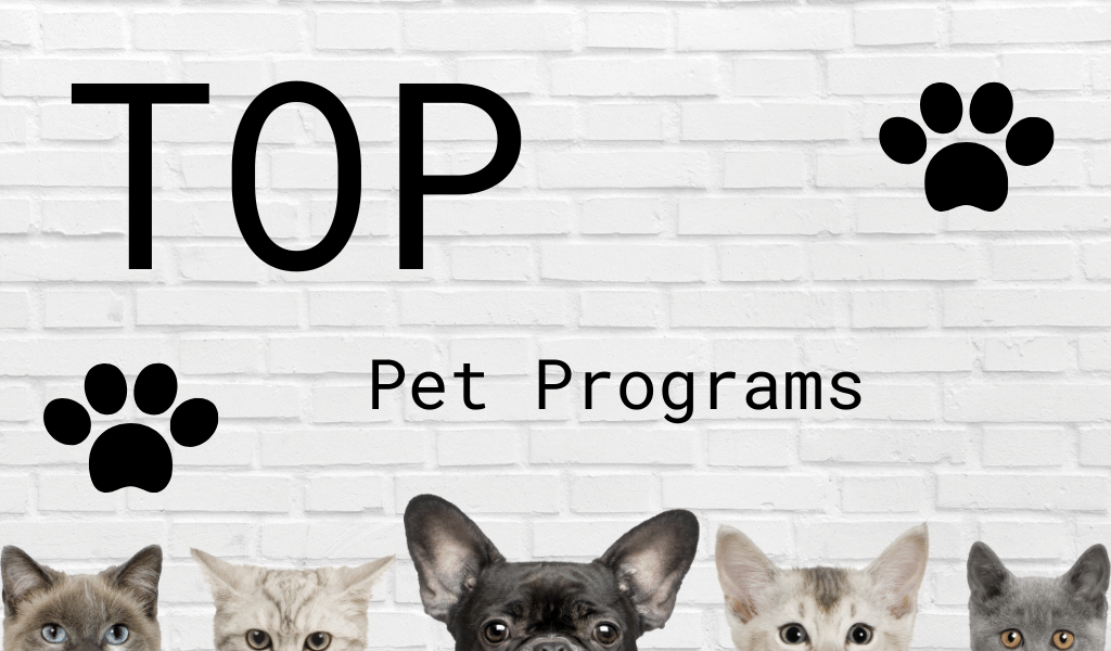 Top pet affiliate programs on SAS - read more on the blog ....  #affiliatemarketing #affiliateprograms #affiliatenews