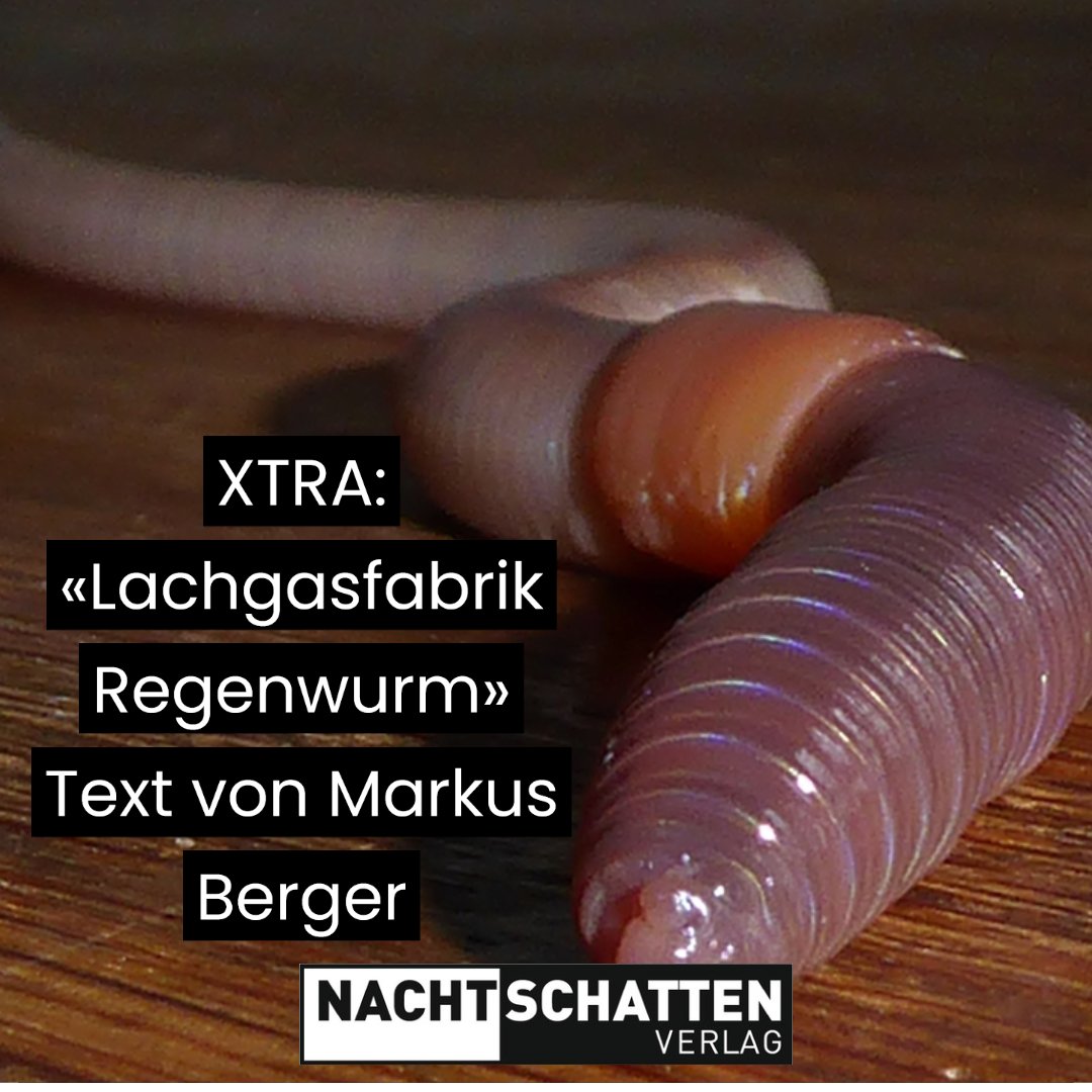 lucys_rausch's tweet photo. #lachgas #n2o #distickstoffmonoxid #regenwürmer #regenwurm #stickoxydul #markusberger #lucysrausch
Zum ganzen XTRA-Artikel: https://t.co/gg9uN9oGrC https://t.co/cowQpnbMWq