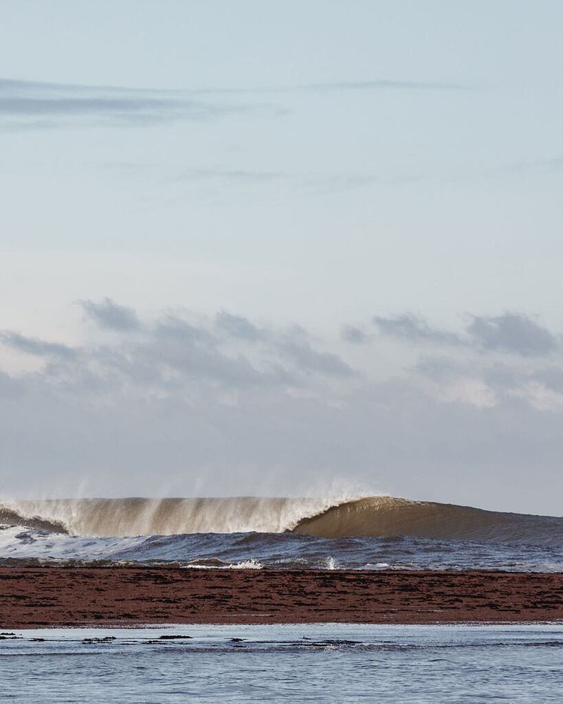 Enlightenment is when a wave realises it is the ocean - Thich nhat Hanh instagr.am/p/CsiRu1GsaHQ/