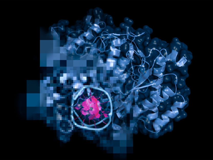 bionity_com's tweet photo. AI predicts the function of enzymes https://t.co/G497Ysr7Tp 
 Enzymes are the molecule factories in biological cells. However, which basic molecular building blocks they use to assemble target molecules is often unknown and difficult to measure. An international team including … https://t.co/bxgl42Ye36