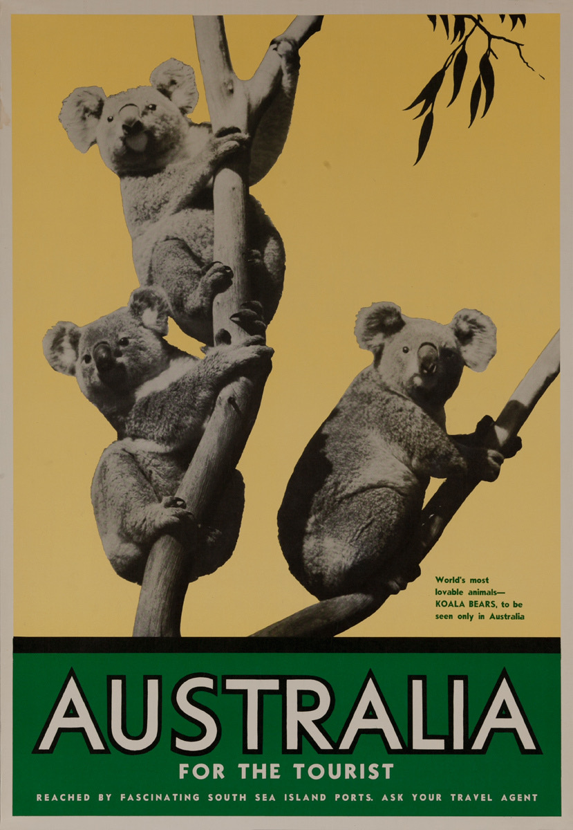 UNSW Biological, Earth and Environmental Sciences (@unswbees) on Twitter photo Just how weird is Australia? Led by <a href="/HabaFM/">Habacuc F-M</a> and featuring a bigger cast of BEES authors than any other publication, we address this question with a cross-continental comparison of biological, geological and climatological features. doi.org/10.3389/fevo.2β¦ Just how weird is Australia? Led by <a href="/HabaFM/">Habacuc F-M</a> and featuring a bigger cast of BEES authors than any other publication, we address this question with a cross-continental comparison of biological, geological and climatological features. doi.org/10.3389/fevo.2β¦