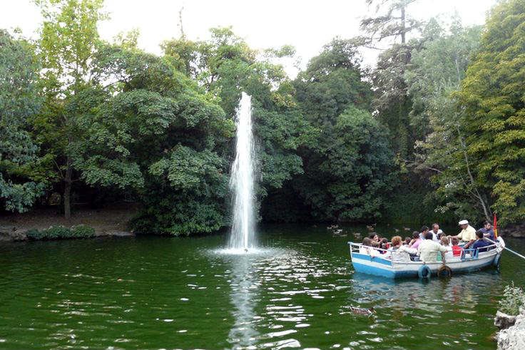 PablOrtVega's tweet photo. Visitar el Campo Grande de Valladolid en 5º de EP, te ofrece miles de posibilidades educativas, desde conocer mejor la fauna y flora que engloba este paisaje, hasta realizar una actividad de orientación con la ayuda de un mapa.

#DCSUVA #3PRIMARIAVA #RECURSOSCCSS #COMPLEMENTARIAS https://t.co/VIUOZBAOc5