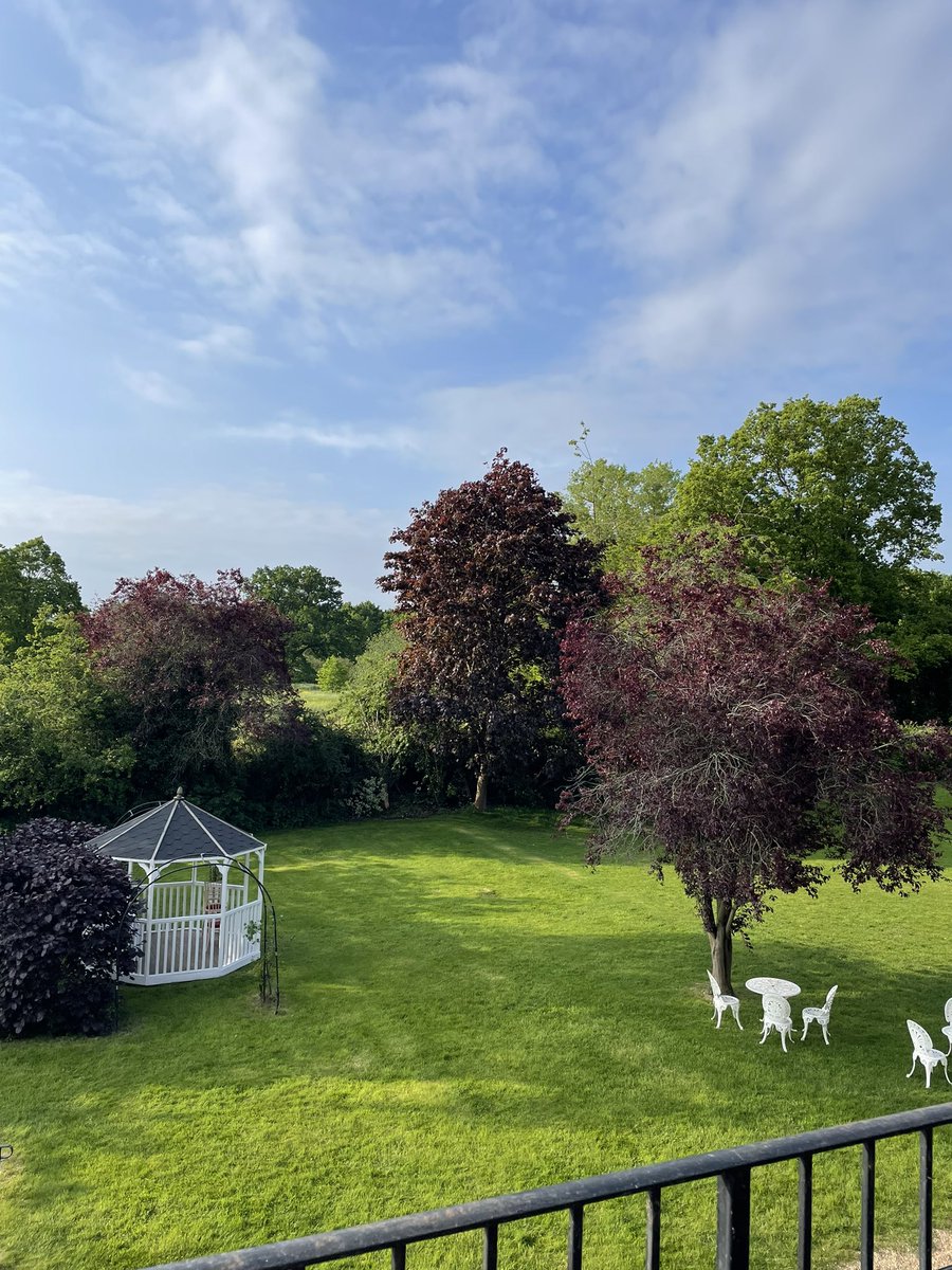 Room with a view. Lovely morning 💙