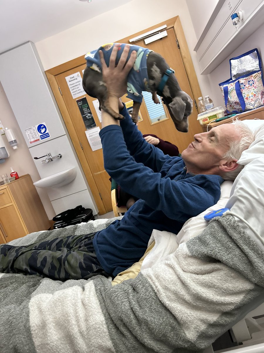 Maire Thompson tweet media