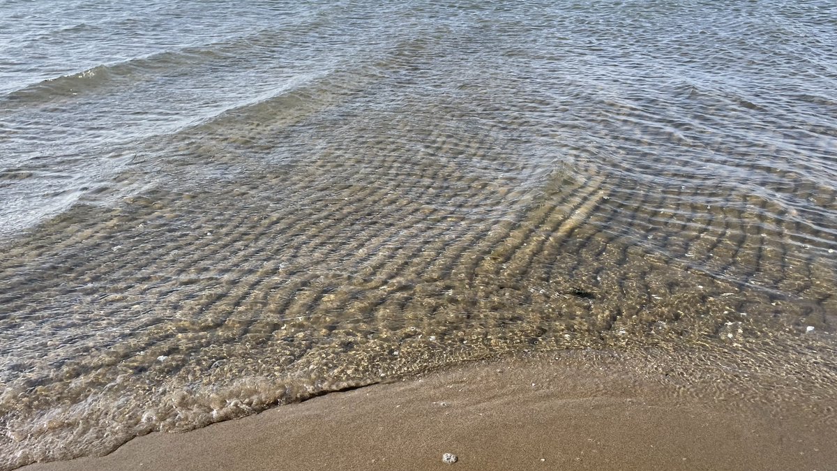 batidivulga's tweet photo. Some sedimentary structures are best studied in the field. These examples show, a few days ago, wind and water ripples in a great natural laboratory of bedforms: the Ebro Delta.
Anyway, that is practical #sedimentology!
#DeltadelEbro #DeltadelEbre #EbroDelta #bedforms #ripples https://t.co/ARL4FJdVnb