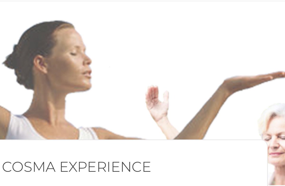 THE ZEN WORLD (@TheZenWorld) / Posts / X