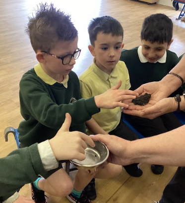 AllSaintsFederation tweet media