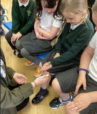 AllSaintsFederation tweet media